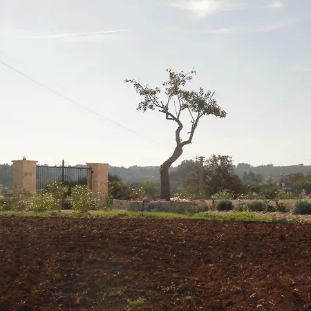 別荘 Il Torchio Trullo